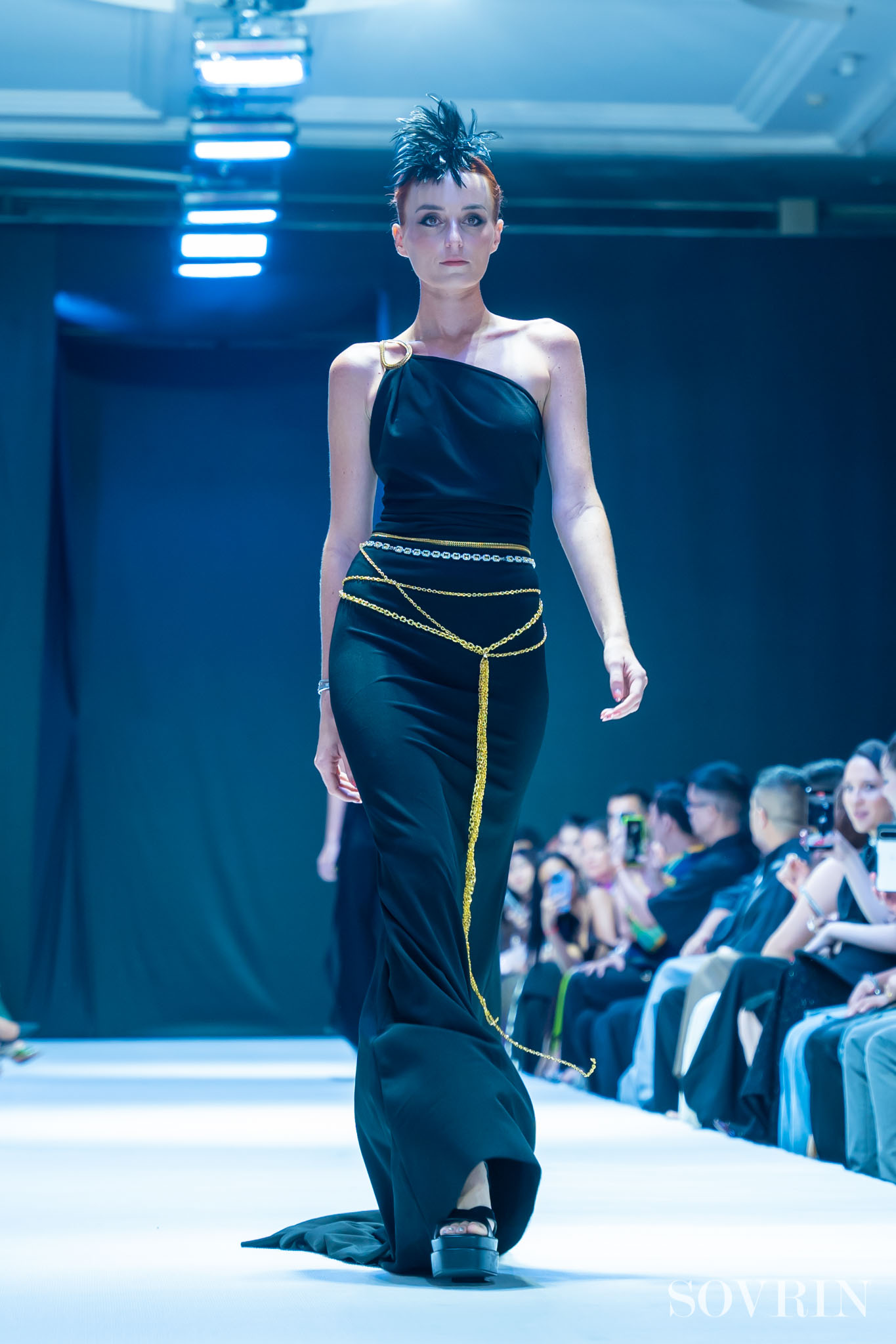 Collection By ALFREDO VAEZ
