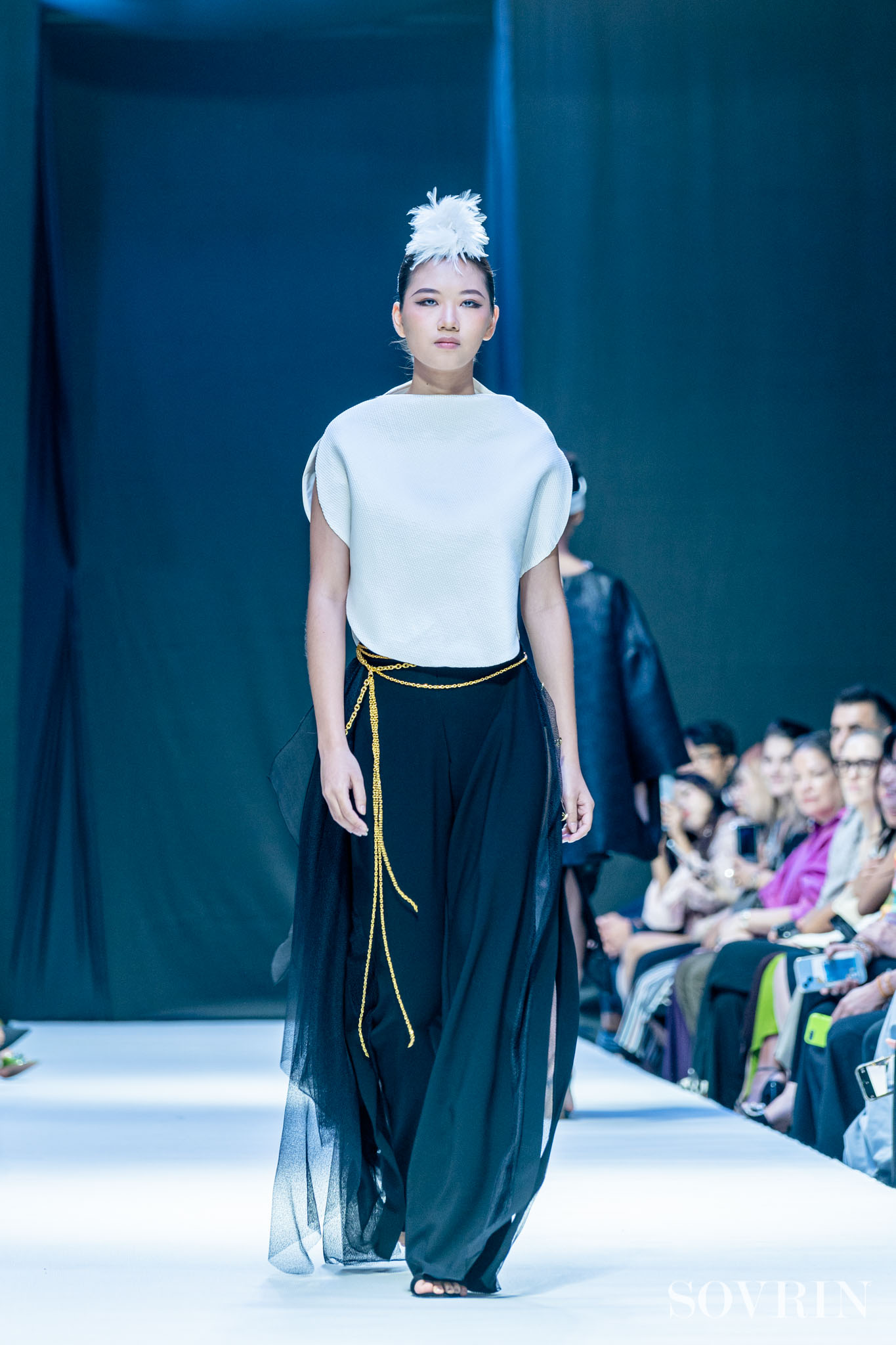Collection By ALFREDO VAEZ