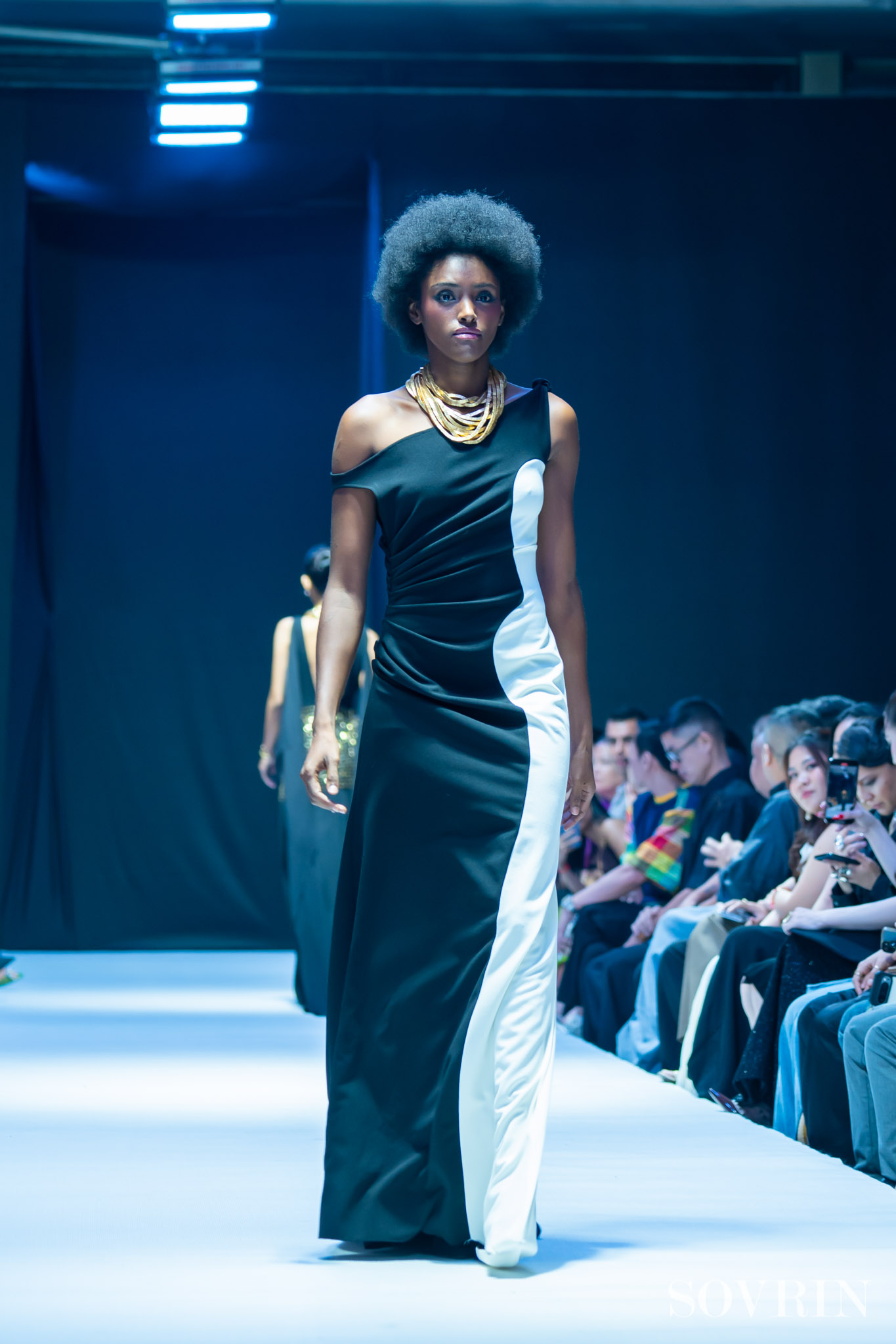 Collection By ALFREDO VAEZ